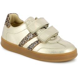 BELLAMY RIAVI<br>Or