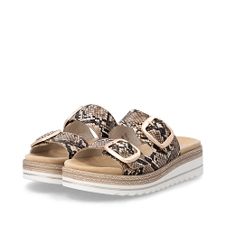 REMONTE D0Q66.25<br>Python