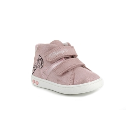 MAJURO 8403911:Rose