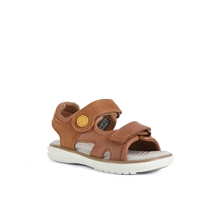 HOCTAVY J25DRB:Camel
