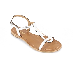 J04DDA HAMESS:Blanc