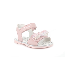 BECO 1912511:Rose