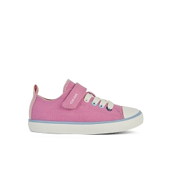 RADICCHIO Modele inexistant : a0384