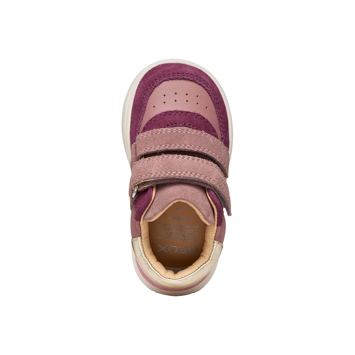 Geox basket b564ca rose2517301_4