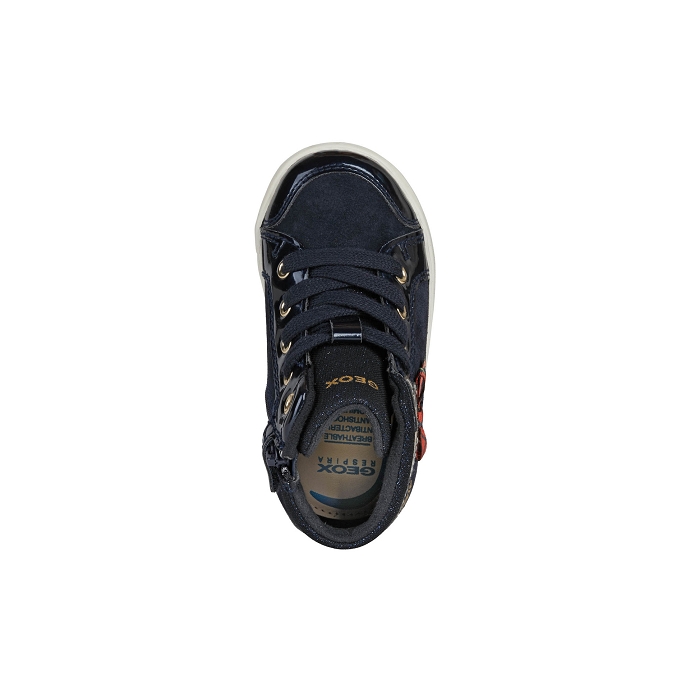 Geox basket b16d5c bleu9226601_5