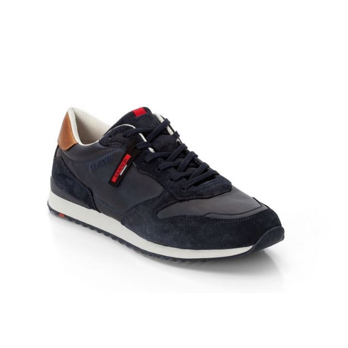 Lloyd basket edmond bleu
