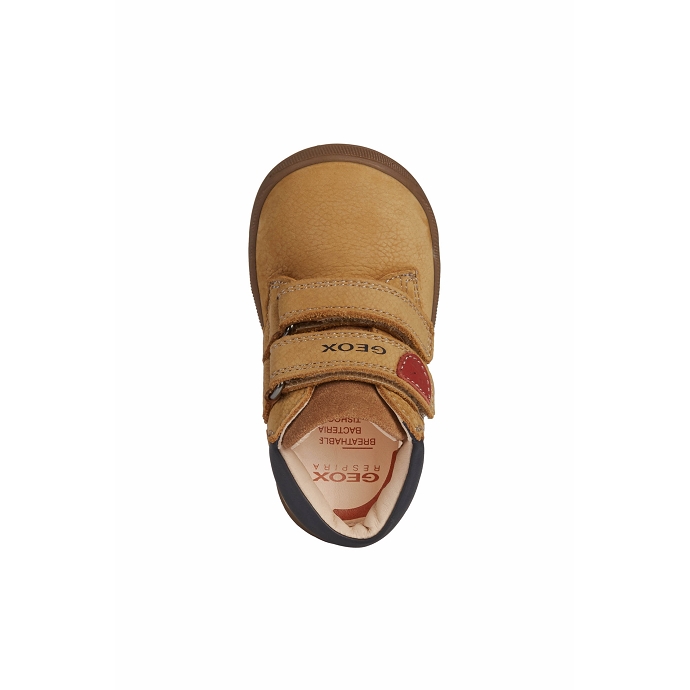 Geox basket b164nc.03285 camel9847201_5